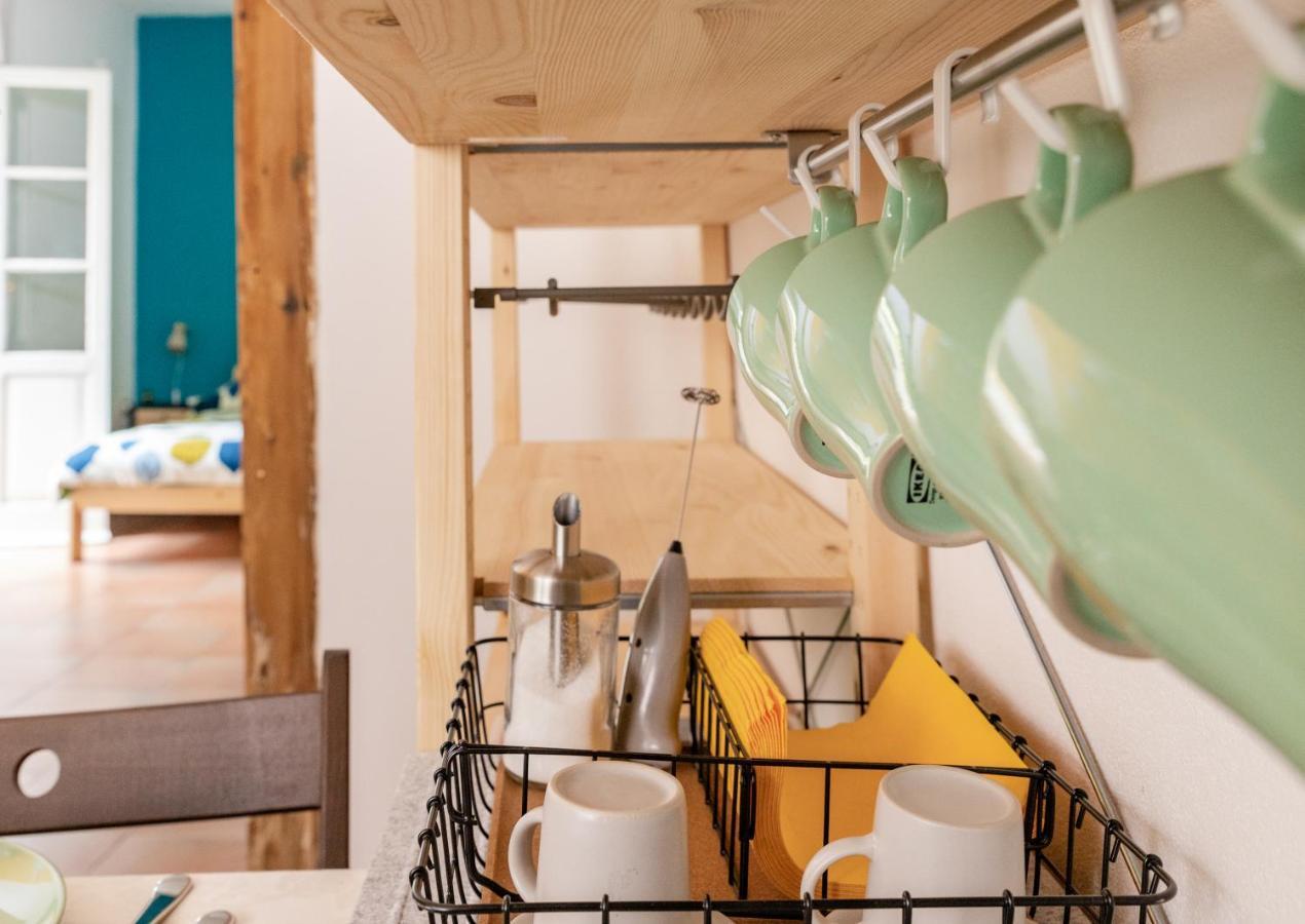 Apartmán Marylou Gardenhouse Pisa Exteriér fotografie